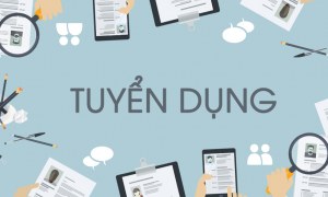 Tuyển dụng thực tập sinh SEO Quận Gò Vấp lương cao